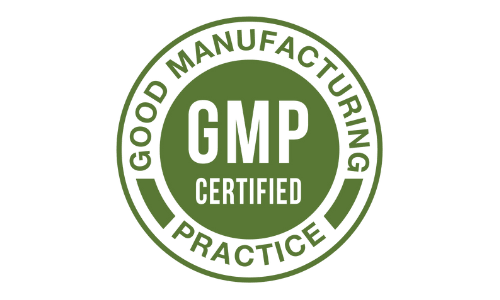 Dentilock GMP Certified